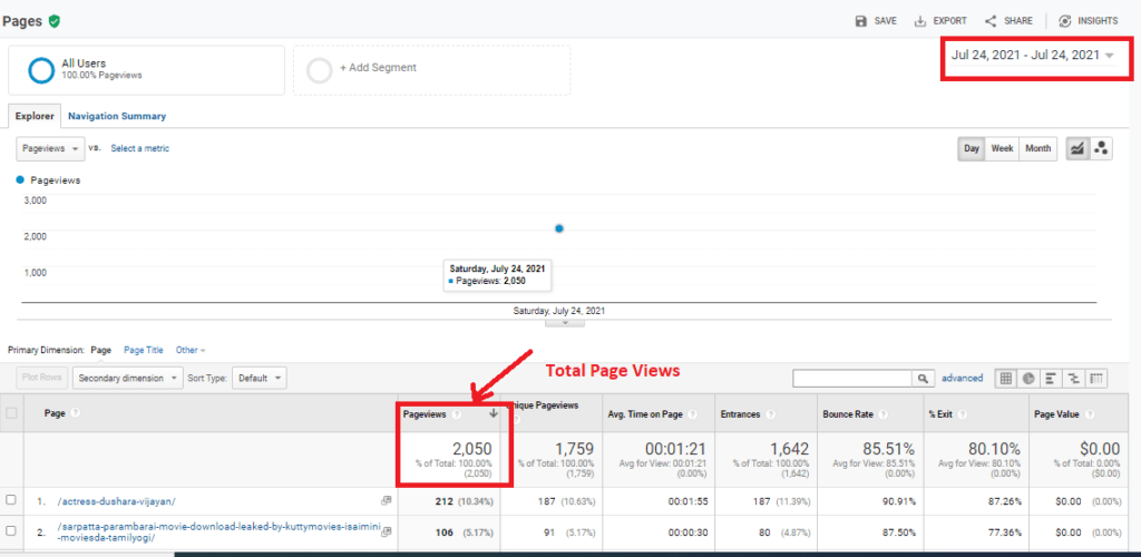 Page Views Report